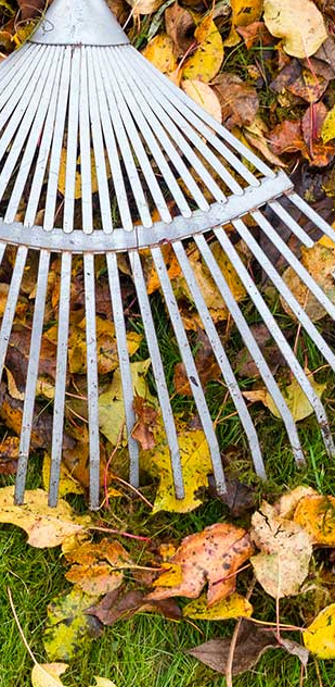 C I Excavating Pool Digging and Filling